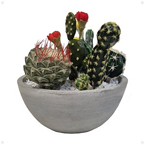 Kit 6 Mini Cactos Artificiais Sortidos Premium Realistas