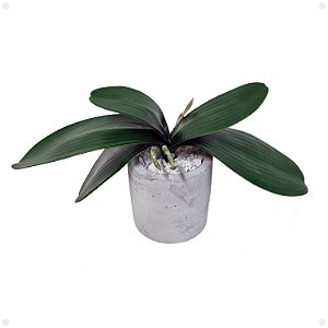 Folha de Orquídea Phalaenopsis Artificial Premium Luxo KIT