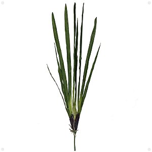 Folha de Orquídea Cimbidium Artificial Premium 80CM