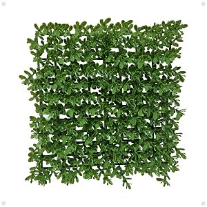Placa Verde Buchinho Artificial Premium Luxo Jardim 25x25