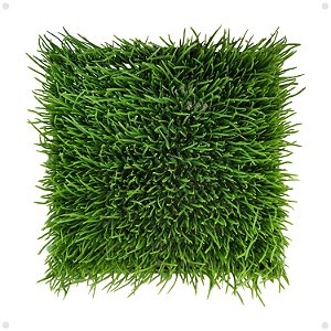 Placa Verde Grama Acorus Artificial Premium Jardim 25x25