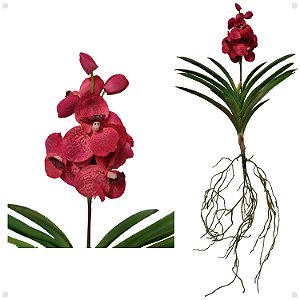 Orquídea Vanda Com Raiz Artificial Premium Luxo 95CM