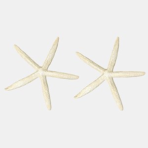 Estrela Do Mar Decorativa Artificial Premium Resina Praia