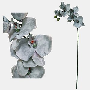 Orquidea Phalaenopsis Frozen Artificial Premium Fantasia