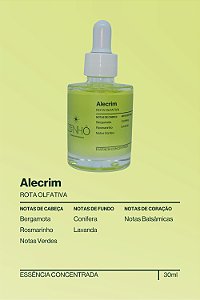 Essência Concentrada - Alecrim (30ml)