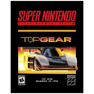 QUADRO DE METAL M - TOP GEAR