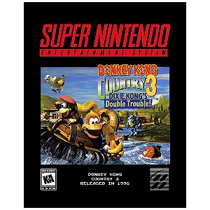 QUADRO DE METAL G - DONKEY KONG COUNTRY 3