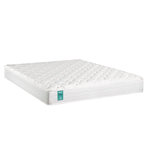 Epeda Pasion com Espuma de Alta Performance | Epeda