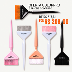 Combo 6 Pincéis ColorproBrasil Pincéis Para Mechas Especial