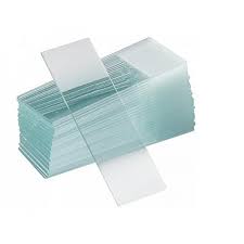 LAMINA MICROSCÓPICA TRANSPARENTE para aplicar gel nas sobrancelhas UNIDADE