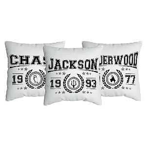 Kit 3 Capas de Almofada Jackson, Chase e Underwood Com Zíper