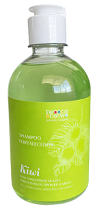 Twoone Onetwo Vegan Beauty Shampoo Fortalecedor Kiwi - Beleza do