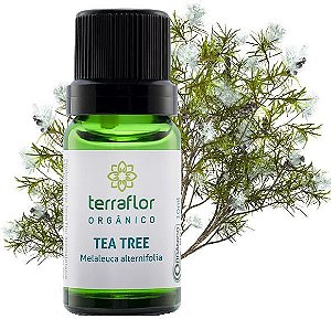 Terra Flor Óleo Essencial de Tea Tree Orgânico 10ml