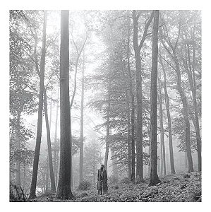 Cd Taylor Swift Folklore 1 The In The Trees - Lacrado