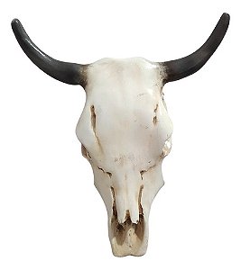 Cabeça De Boi Em Resina Crânio Caveira Decoração