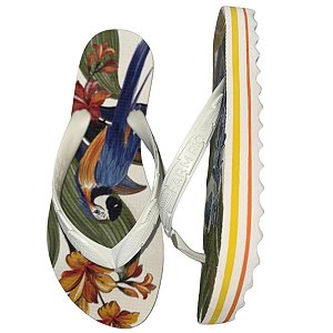 Chinelo Farm Raibown Print Arara Azul