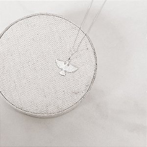 Colar pingente Espírito Santo 19mm 45cm5+5cm