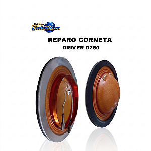 Reparo para corneta D250 – ( Pronta entrega em Umbaúba na praça de Eventos! )