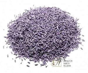 Alfazema azul - Lavanda (Flores)