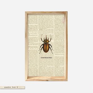QUADRO BOX - Escaravelho