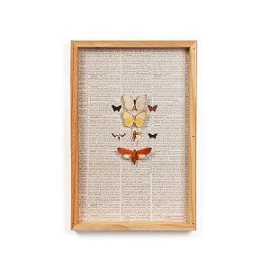 Quadro Box Colagem - Borboleta com fundo antigo