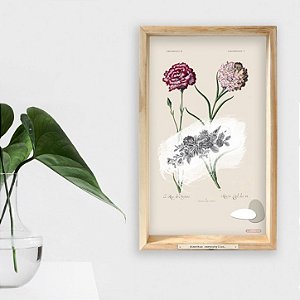 QUADRO BOX COLAGEM – BOTÂNICA CRAVO