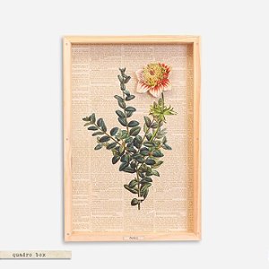 Quadro Box Colagem Botânica Ramo