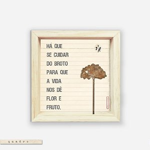Quadro Caixa - Há que se cuidar do broto.