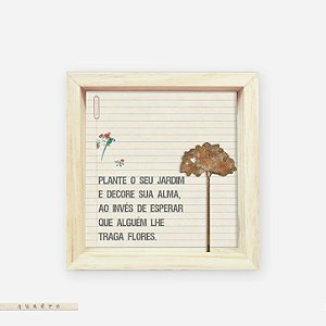 Quadro Caixa Pinus - Plante O Seu Jardim