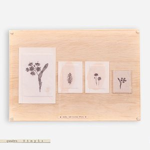 Quadro Simple G - Botânica Muda até brotar flor