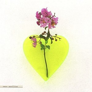 Vaso Acrílico - Coração #2 Verde