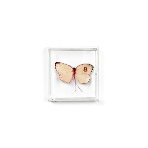 Quadro Acrilico Botânica - Borboleta Rosa