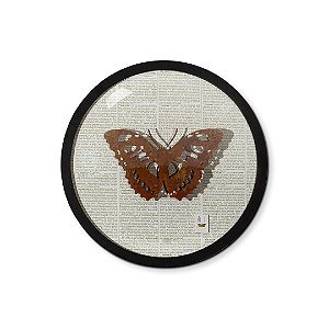 Quadro Solis Botânica G - Borboleta Ferro