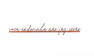 Frase de Ferro - Uma andorinha não faz verão