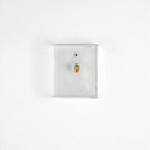 Quadro Caixa Acrílico - Semente