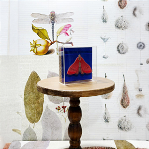 Quadro Acrílico Pinus - Borboleta Vermelha Fundo Azul