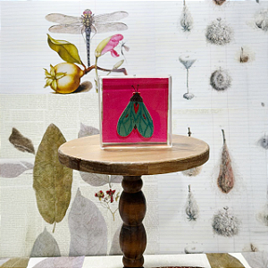 Quadro Acrílico Pinus - Borboleta Verde Fundo Pink