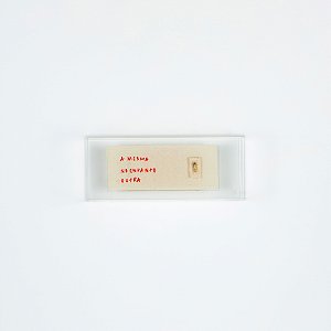 Quadro Acrílico Retangular - A mesma no entanto outra