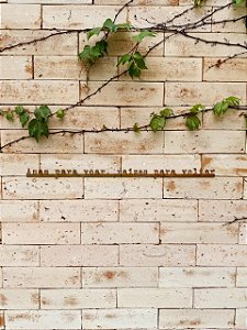 Frase de Ferro - Raízes e Asas