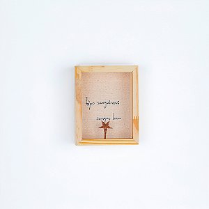 Quadro Bordado c/ Acrílico - Tipo Sanguíneo