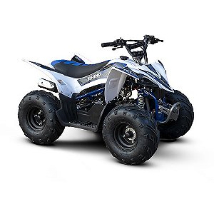 Quadriciclo Infantil Rhino 110 Fun Motors Branco