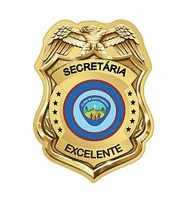 ARGANEL SECRETÁRIA EXCELENTE AVT
