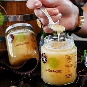 Mel Cânions Gaúchos 300 gr - Caixa com 6-12-24