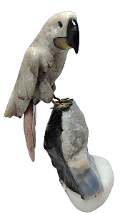 Arara de Pedra