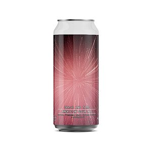 Spartacus Space And Time American Sour Ale 473ml