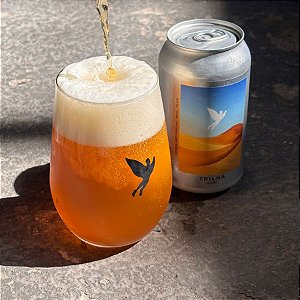 Trilha Gobi West Coast IPA 350ml