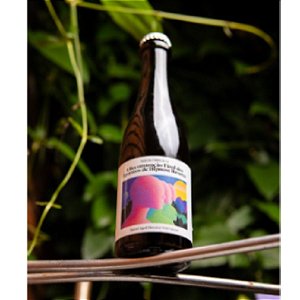 Captain Brew/Escafandrista A Reconstrução Final Dos Aparatos De Hipnose Reversa Saison Barrel Aged 375ml