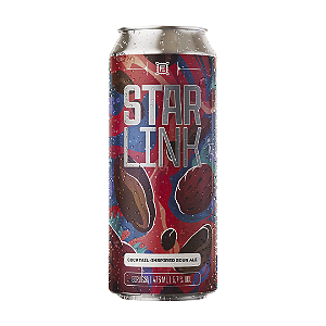 Fermi/Dude Starlink 2026 Sour Ale 473ml
