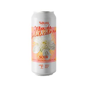 Tábuas Flor De Jabuticabeira Sour Ale 473ml
