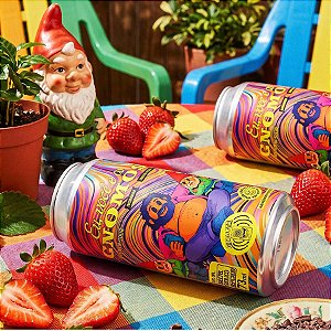Dude Eu, Você E Os Gnomos Sour Ale 473ml